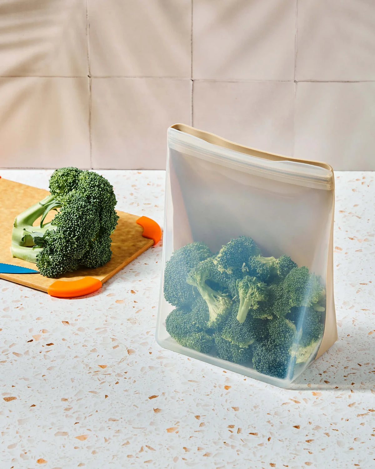Reusable Stand-Up Bag